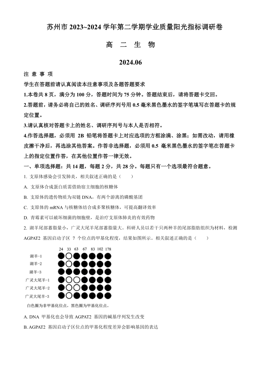 江苏省苏州市2023-2024学年高二下学期6月期末考试 生物试题（含解析）