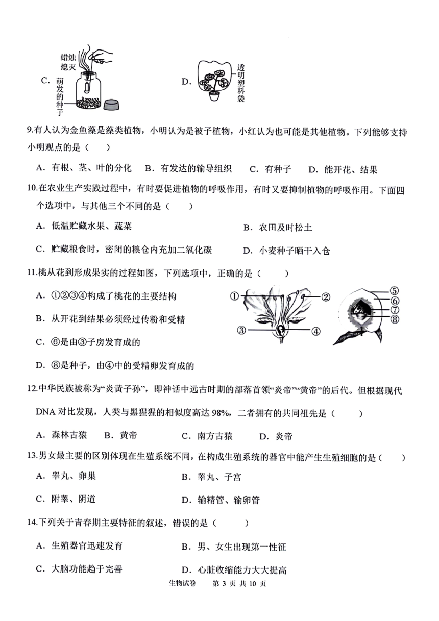 云南省保山市智源初级中学2023-2024学年七年级下学期7月月考生物试题（PDF版含答案）