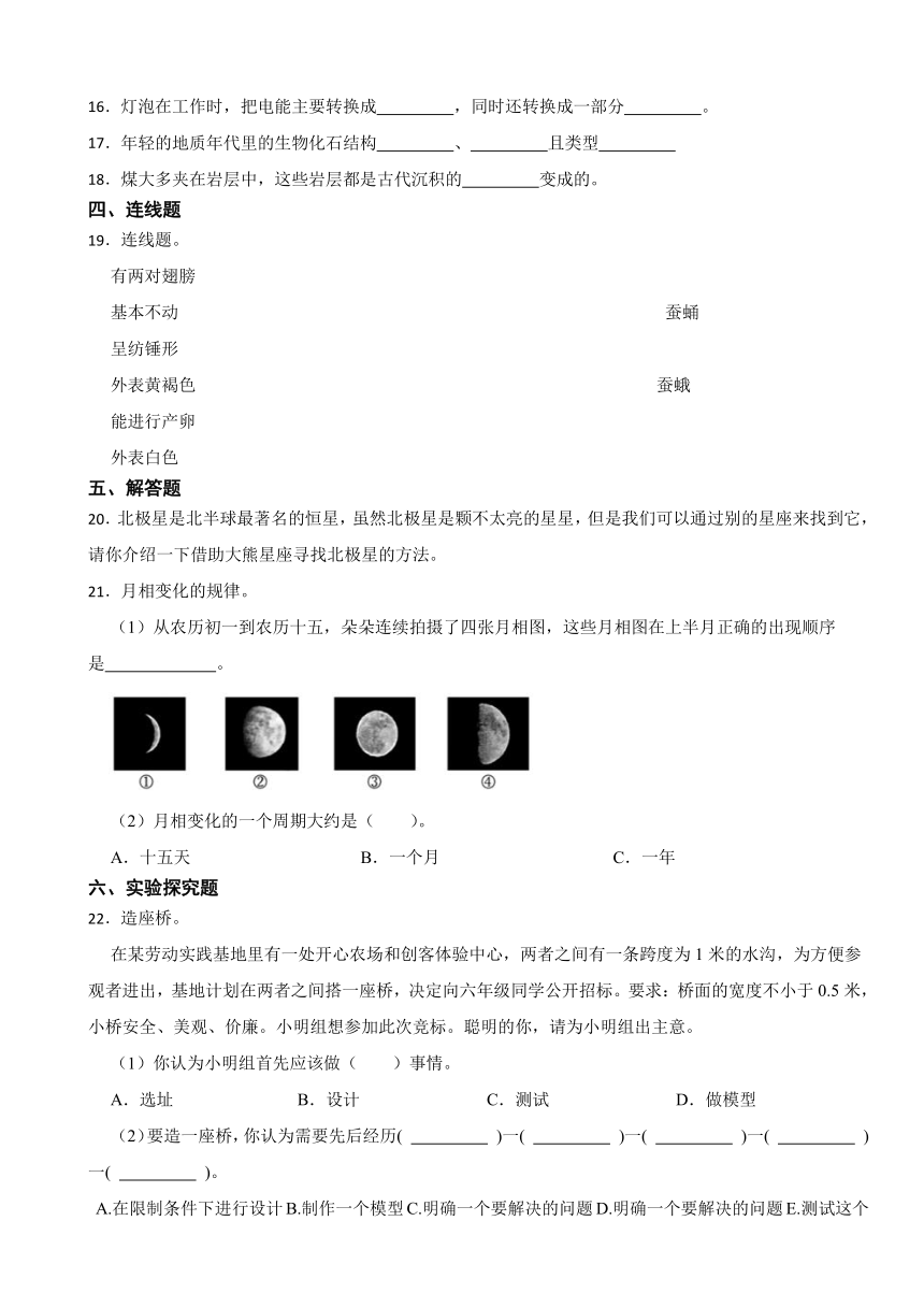 小升初科学模拟试卷（试题）-2023-2024学年科学六年级下册教科版（含答案）