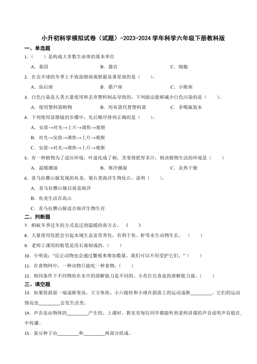 小升初科学模拟试卷（试题）-2023-2024学年科学六年级下册教科版（含答案）