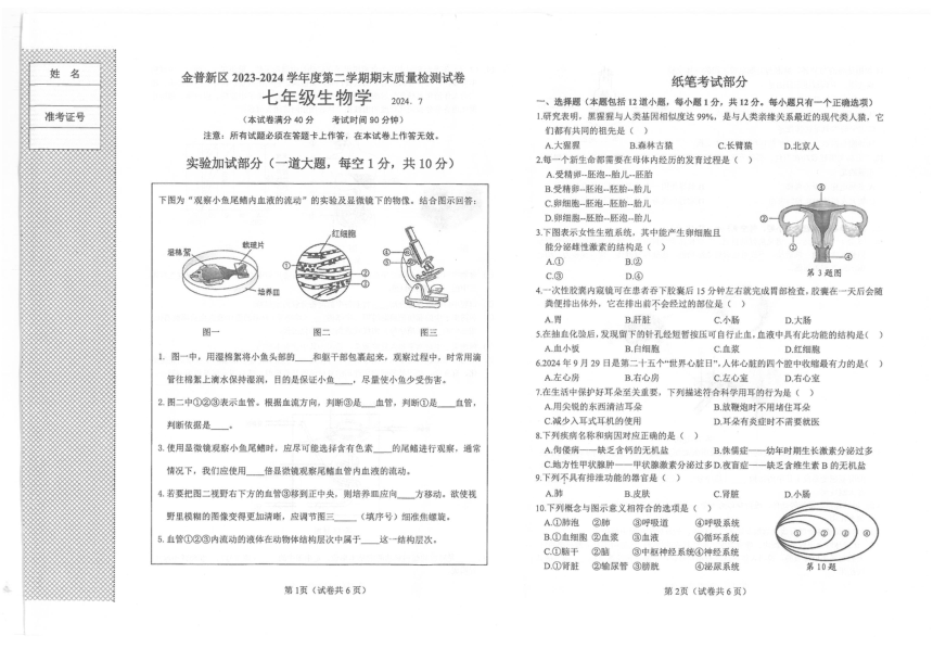 辽宁省大连市金州区2023-2024学年七年级下学期7月期末生物试题(PDF版无答案）
