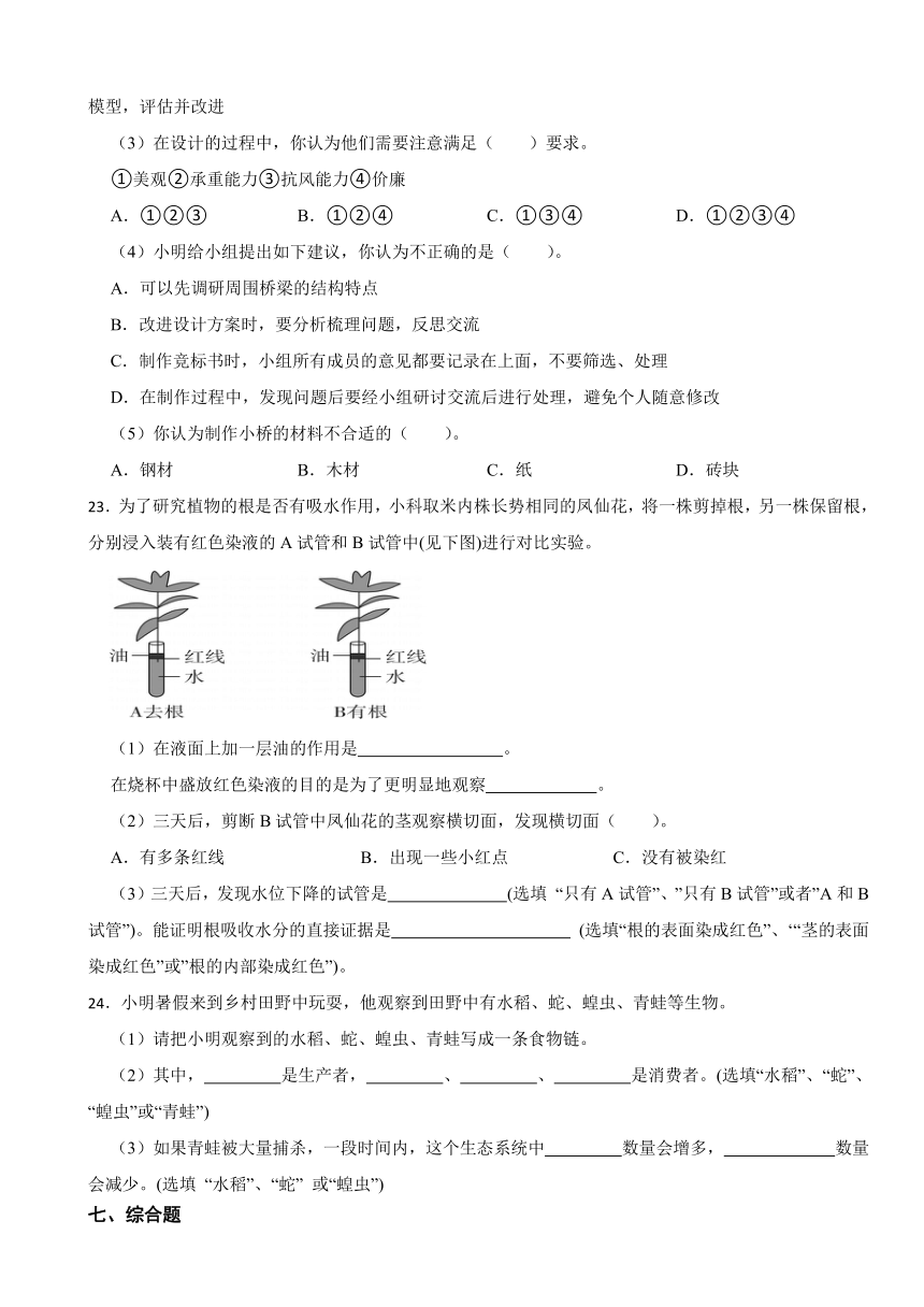 小升初科学模拟试卷（试题）-2023-2024学年科学六年级下册教科版（含答案）