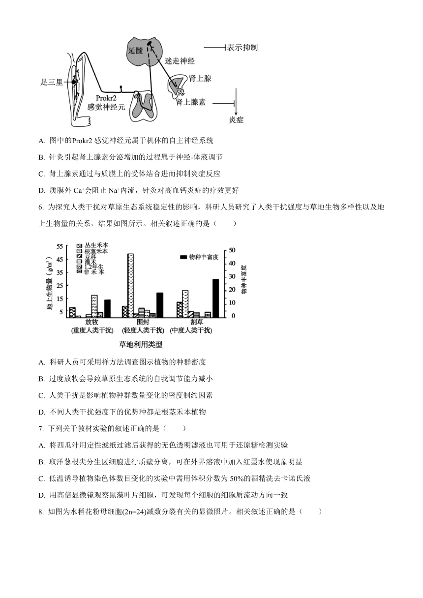 江苏省苏州市2023-2024学年高二下学期6月期末考试 生物试题（含解析）