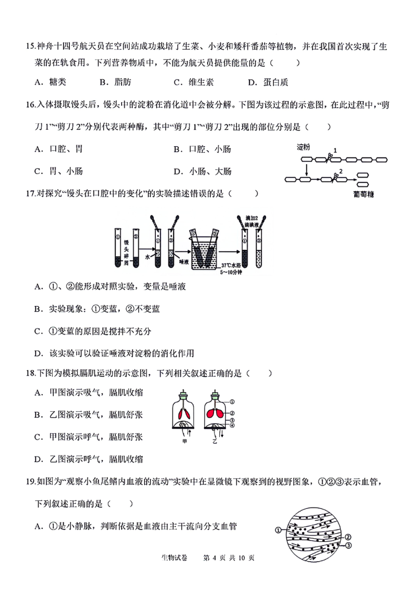 云南省保山市智源初级中学2023-2024学年七年级下学期7月月考生物试题（PDF版含答案）