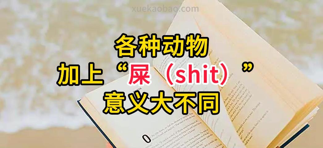 各种动物加上shit后的意义之变