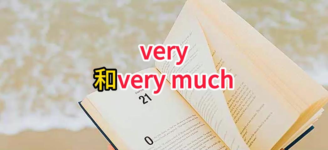 如何区分very和very much