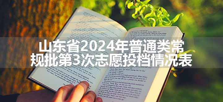 山东省2024年普通类常规批第3次志愿投档情况表