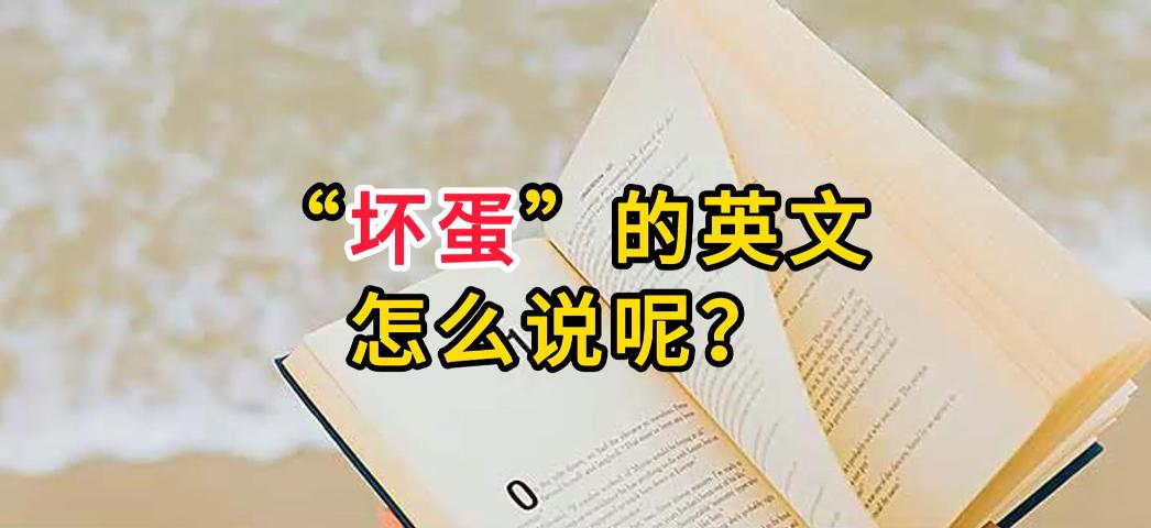 坏蛋、好蛋、聪明蛋的英文都怎么说