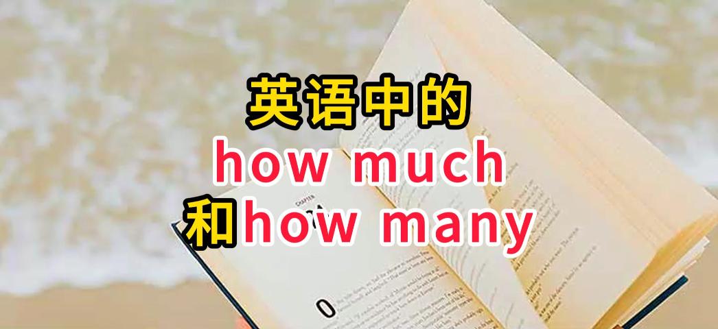 如何区分How much和How many