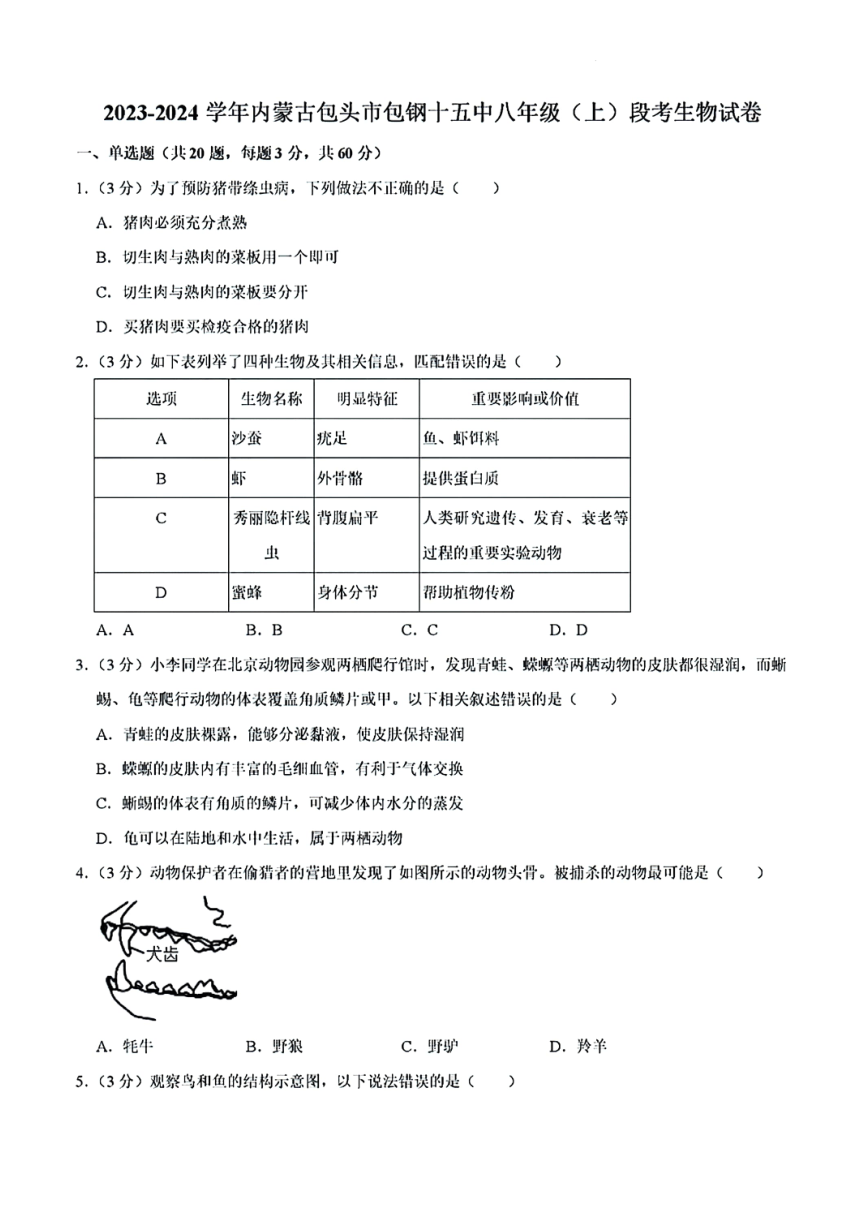 内蒙古自治区包头市包钢第十五中学2023-2024学年八年级上学期段考生物试卷（PDF版，含解析）