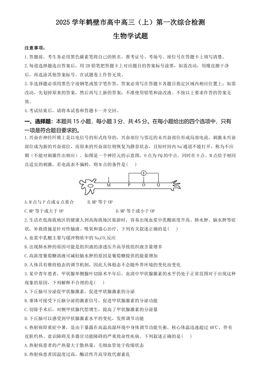 河南省鹤壁市淇滨区鹤壁市高中2024-2025学年高三上学期7月月考生物试题（有答案）