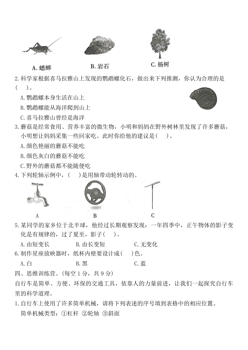 青岛版六三制科学六上期末测试卷（一）（含答案）