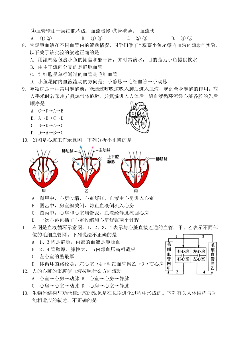 山东省临沂市兰陵县2023-2024学年七年级下学期期末考试生物试题（含答案）