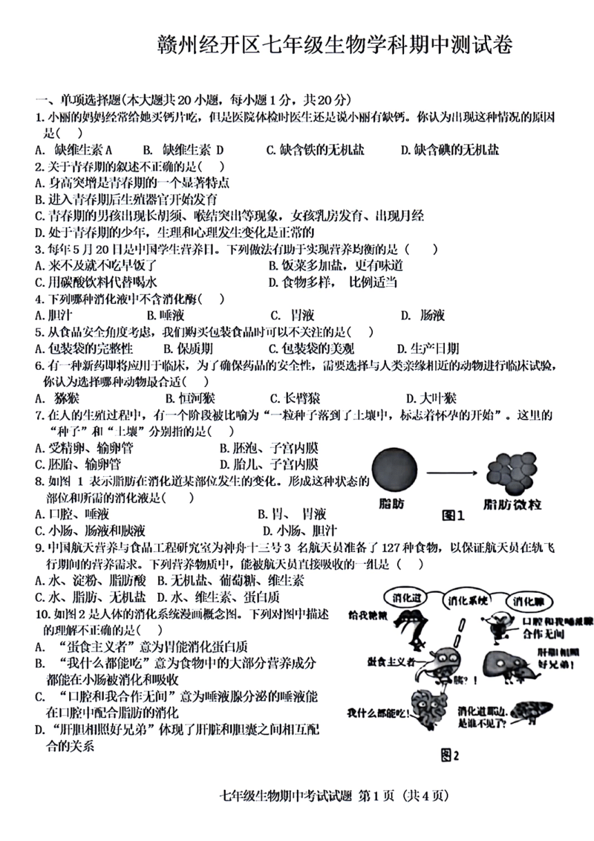 江西省赣州经开区2023-2024学年下学期七年级生物期中测试卷（PDF版含答案）