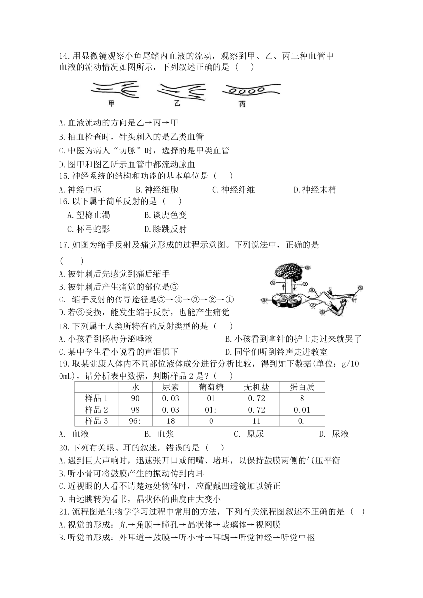 湖南省株洲市天元区白鹤学校2023-2024学年七年级下学期6月期末生物试题(含答案）