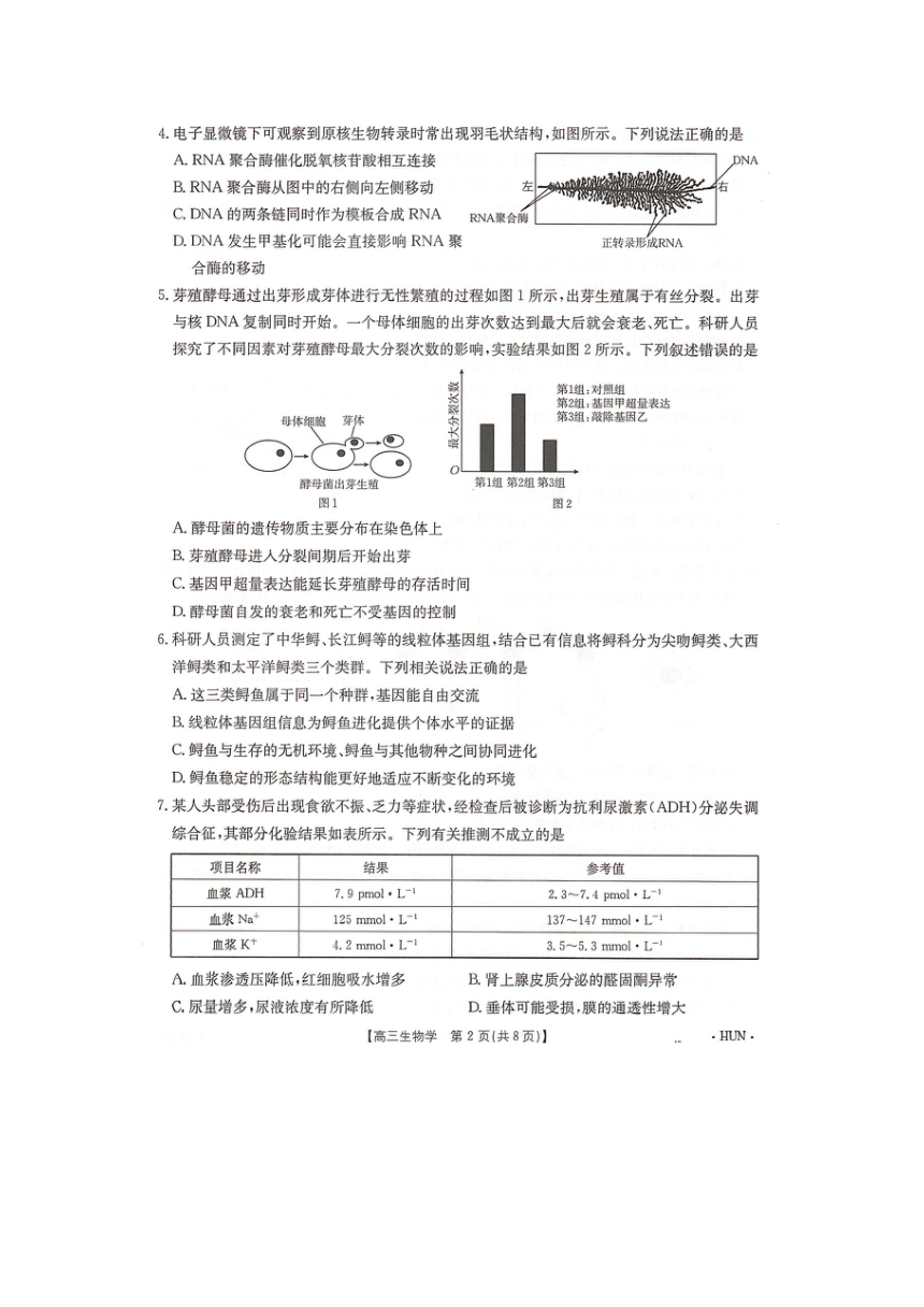 湖南省湖南省部分学校2024-2025学年高三上学期8月月考生物试题（无答案）