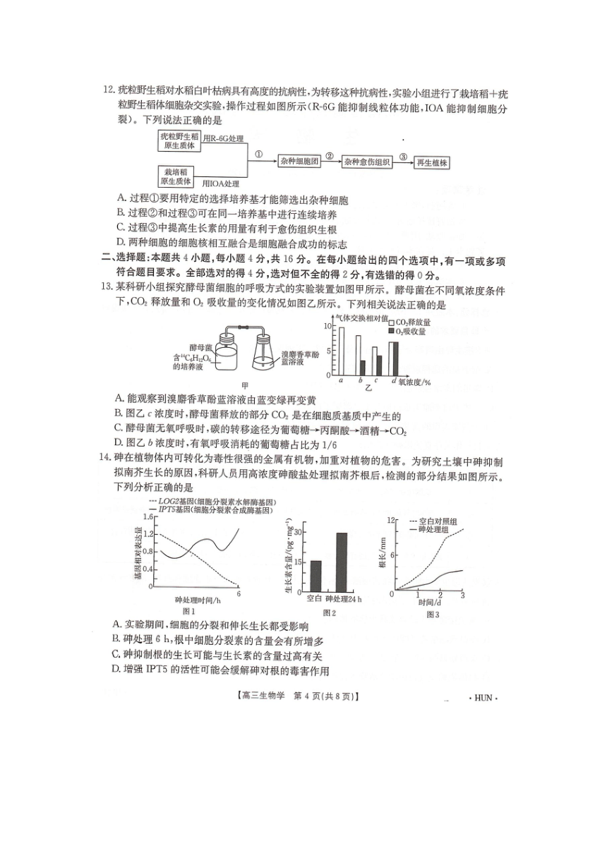 湖南省湖南省部分学校2024-2025学年高三上学期8月月考生物试题（无答案）