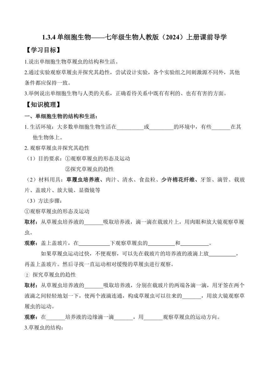 1.3.4单细胞生物——七年级生物人教版（2024）上册课前导学（含解析）