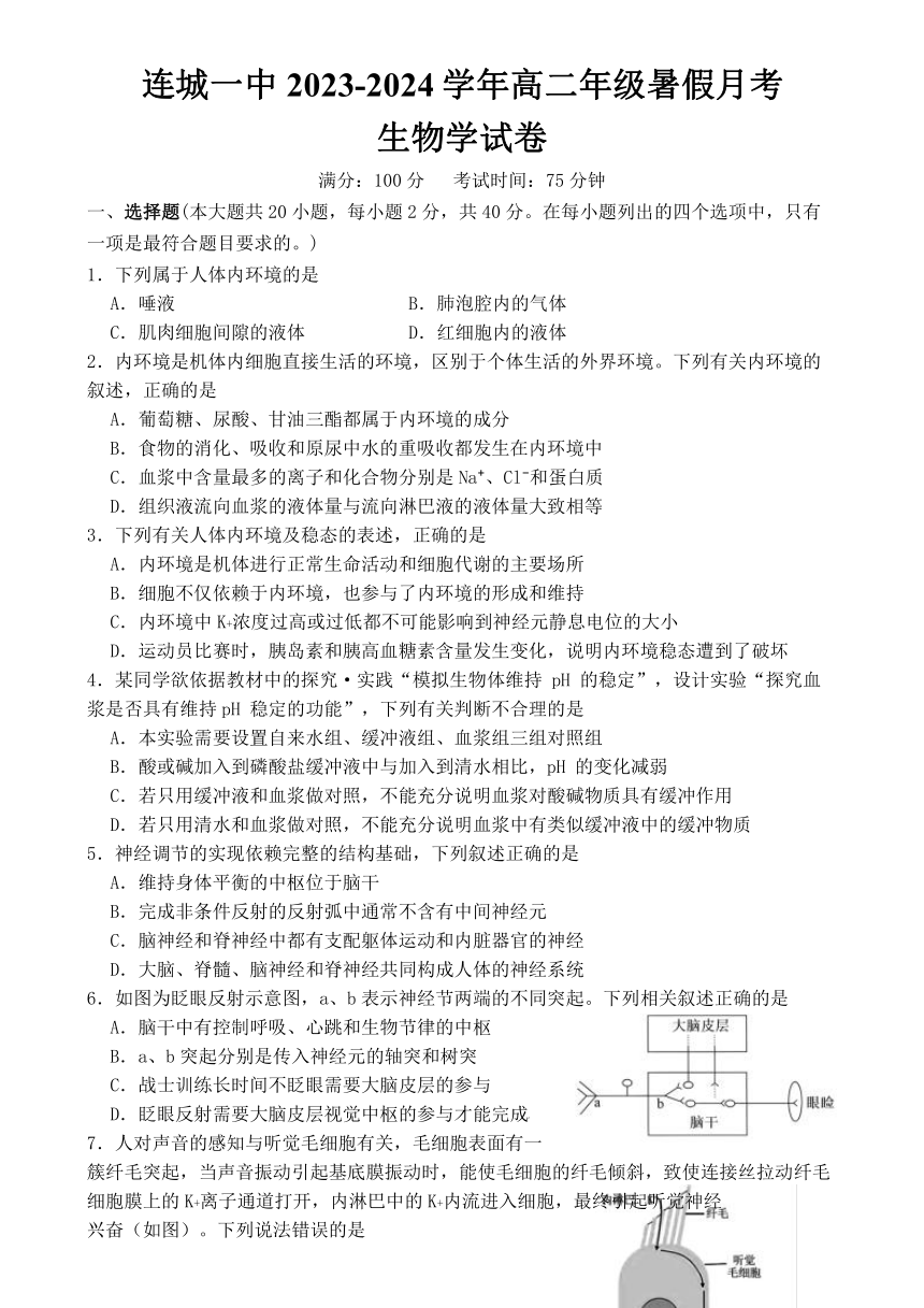 福建省龙岩市连城县福建省连城县第一中学2024-2025学年高二上学期开学生物试题（含答案）