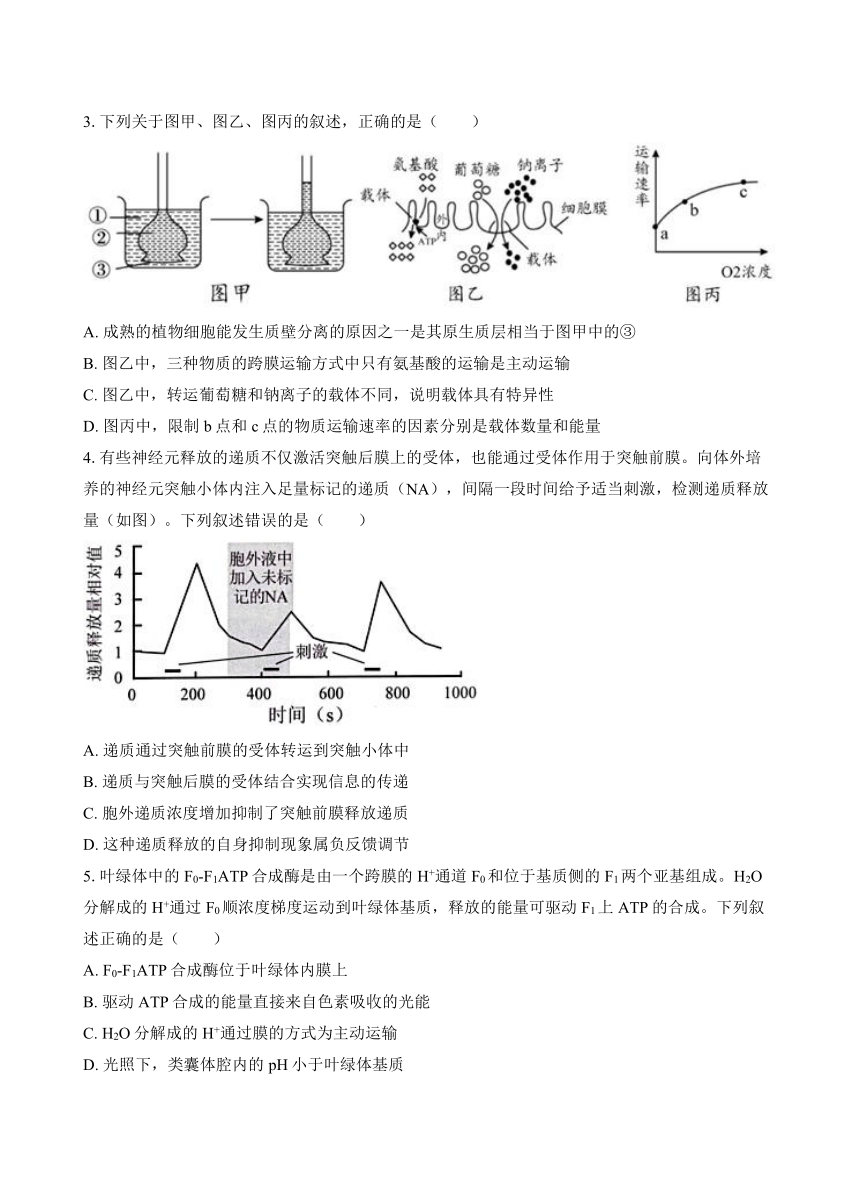 广东省三校2024-2025学年高三上学期8月开学摸底考试生物学试题（含答案）