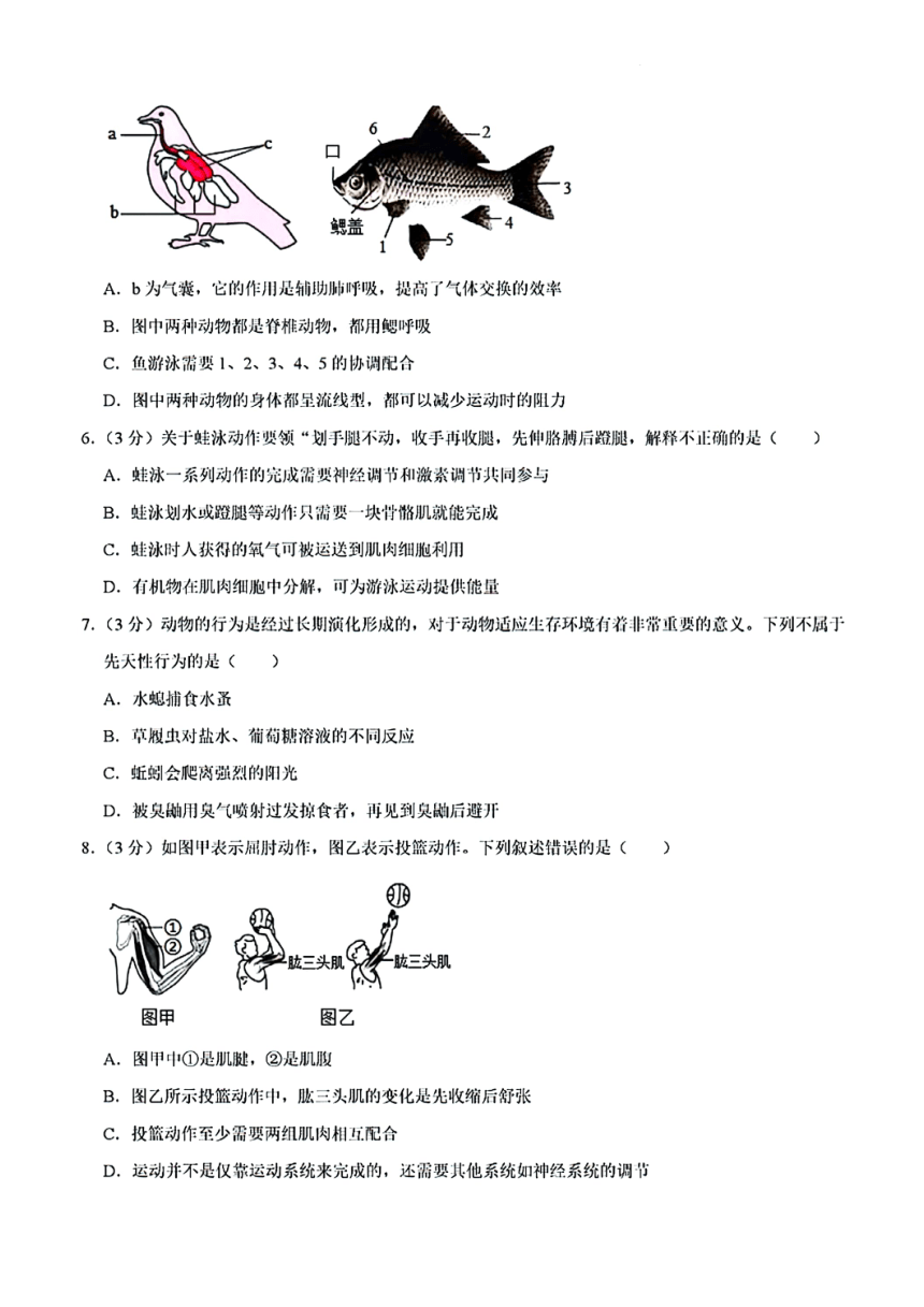 内蒙古自治区包头市包钢第十五中学2023-2024学年八年级上学期段考生物试卷（PDF版，含解析）