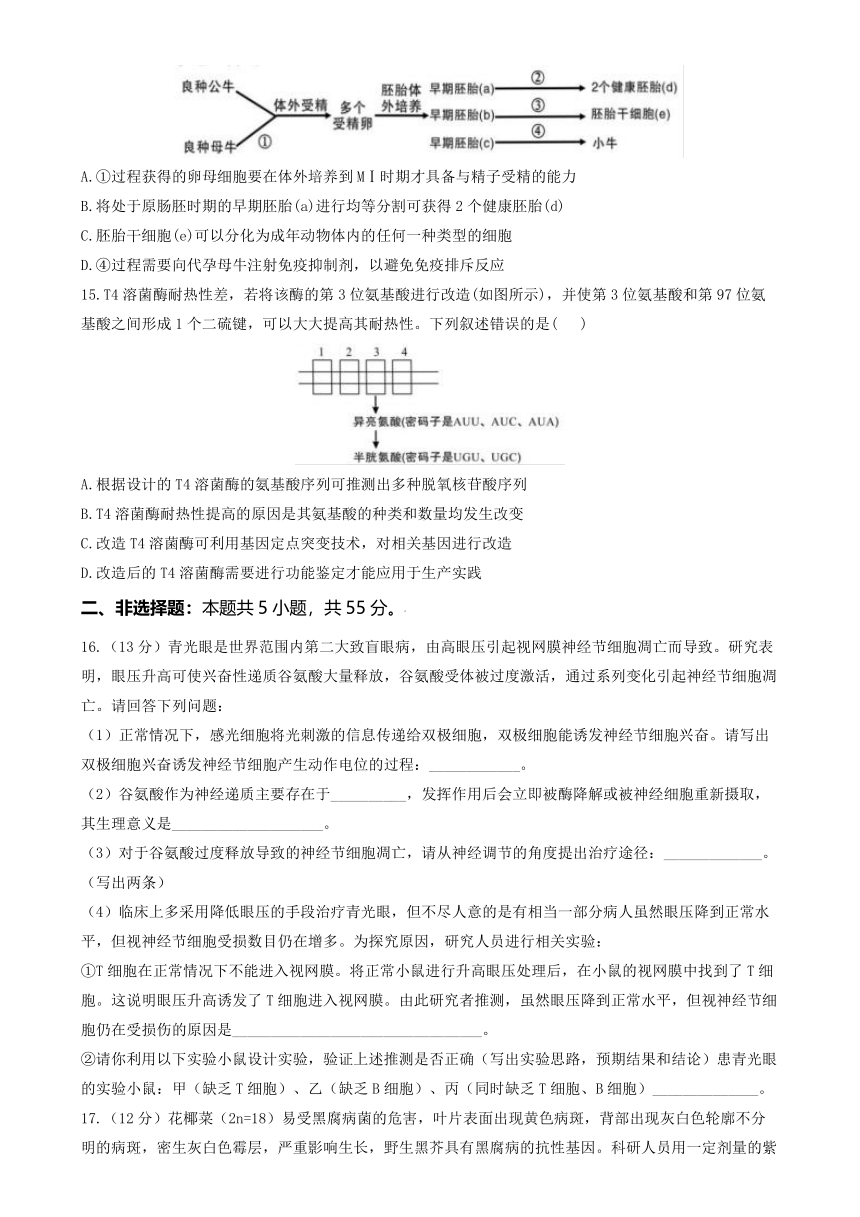 河南省鹤壁市淇滨区鹤壁市高中2024-2025学年高三上学期7月月考生物试题（有答案）