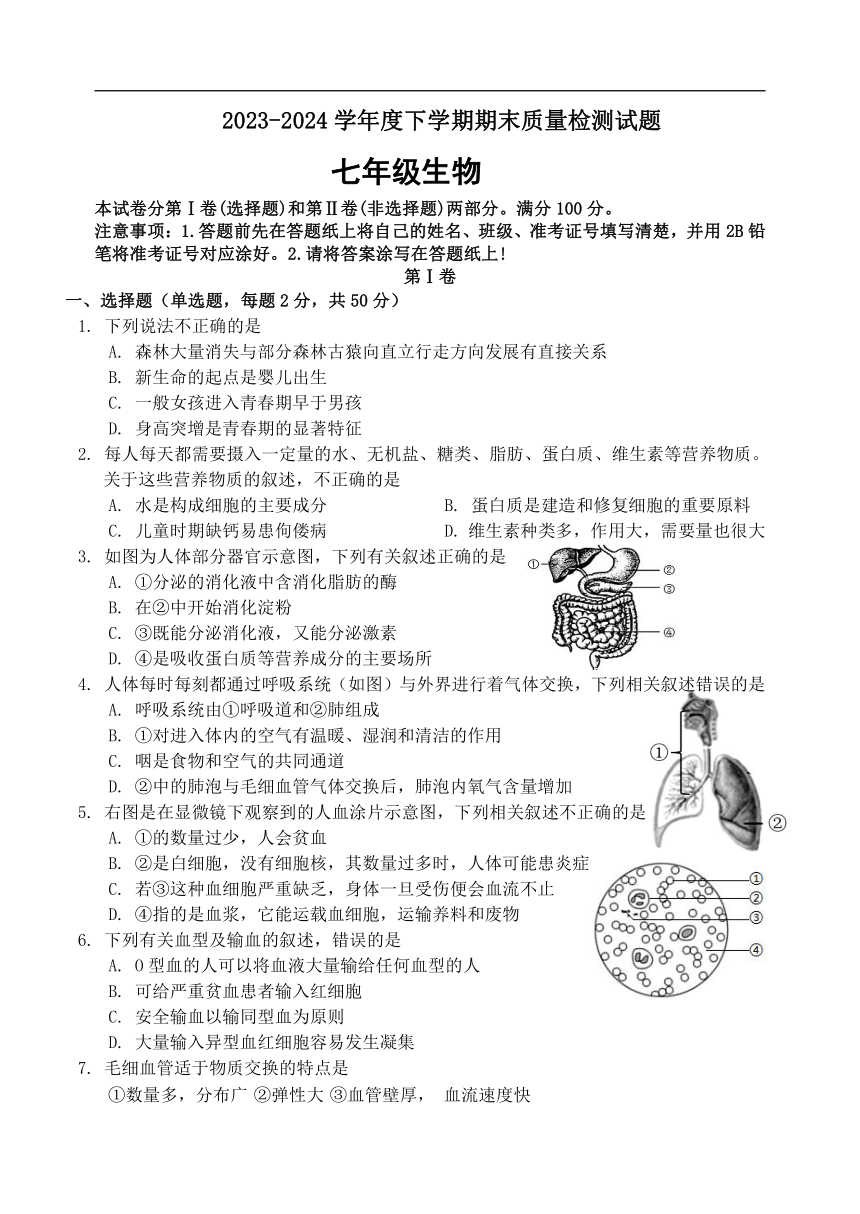 山东省临沂市兰陵县2023-2024学年七年级下学期期末考试生物试题（含答案）