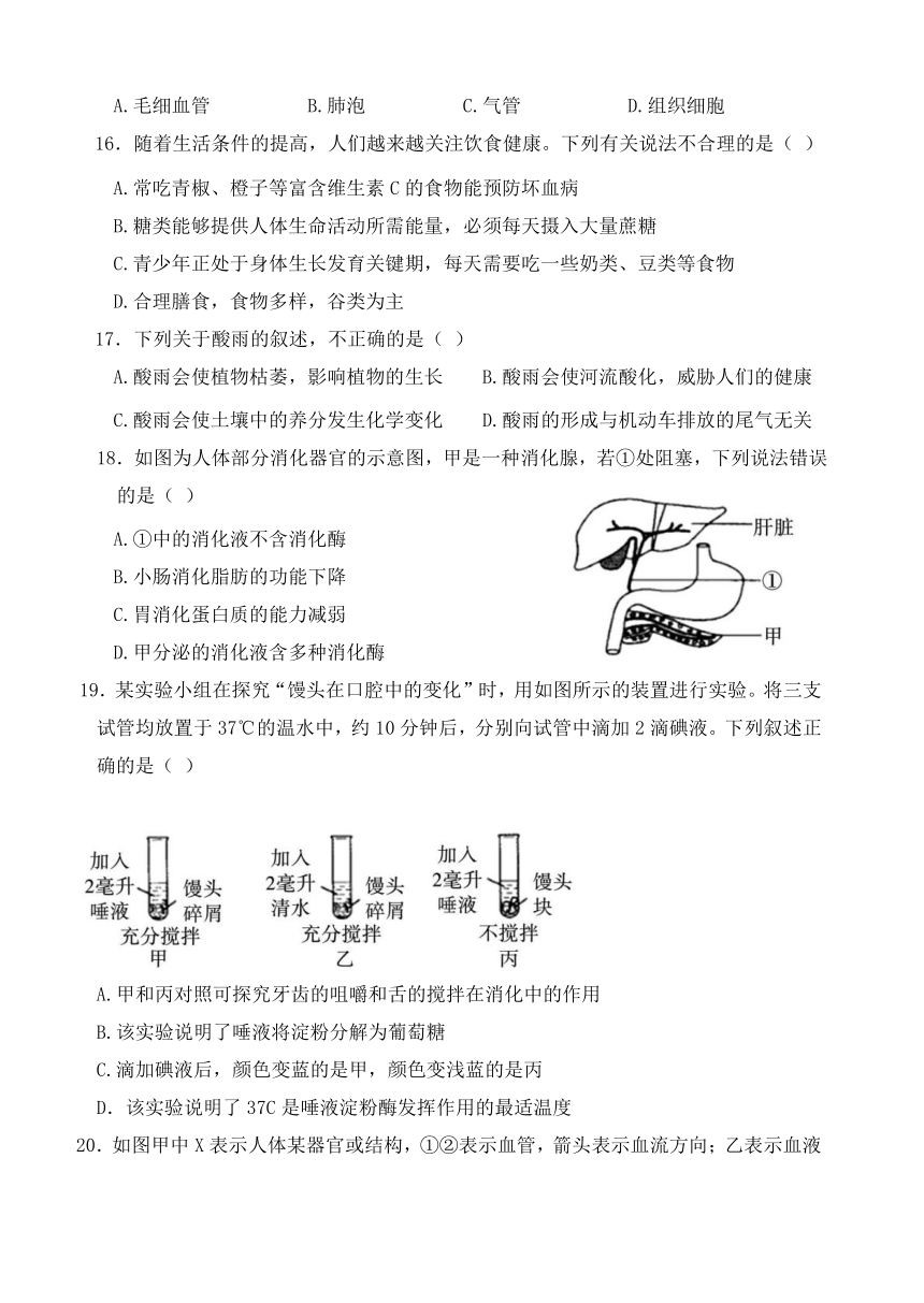 山东省聊城临清市2023-2024学年七年级下学期期末考试生物试题（含答案）