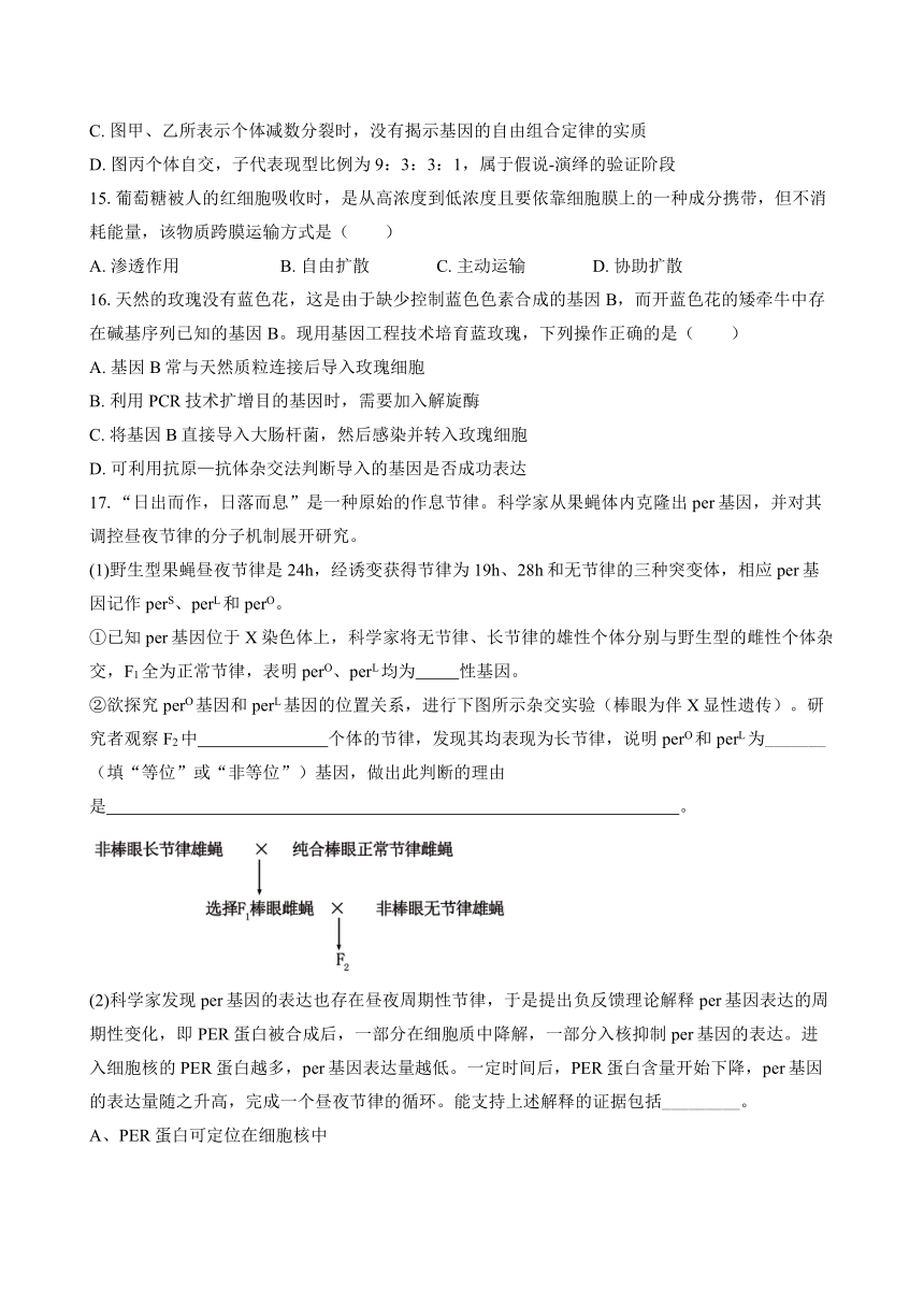 广东省三校2024-2025学年高三上学期8月开学摸底考试生物学试题（含答案）