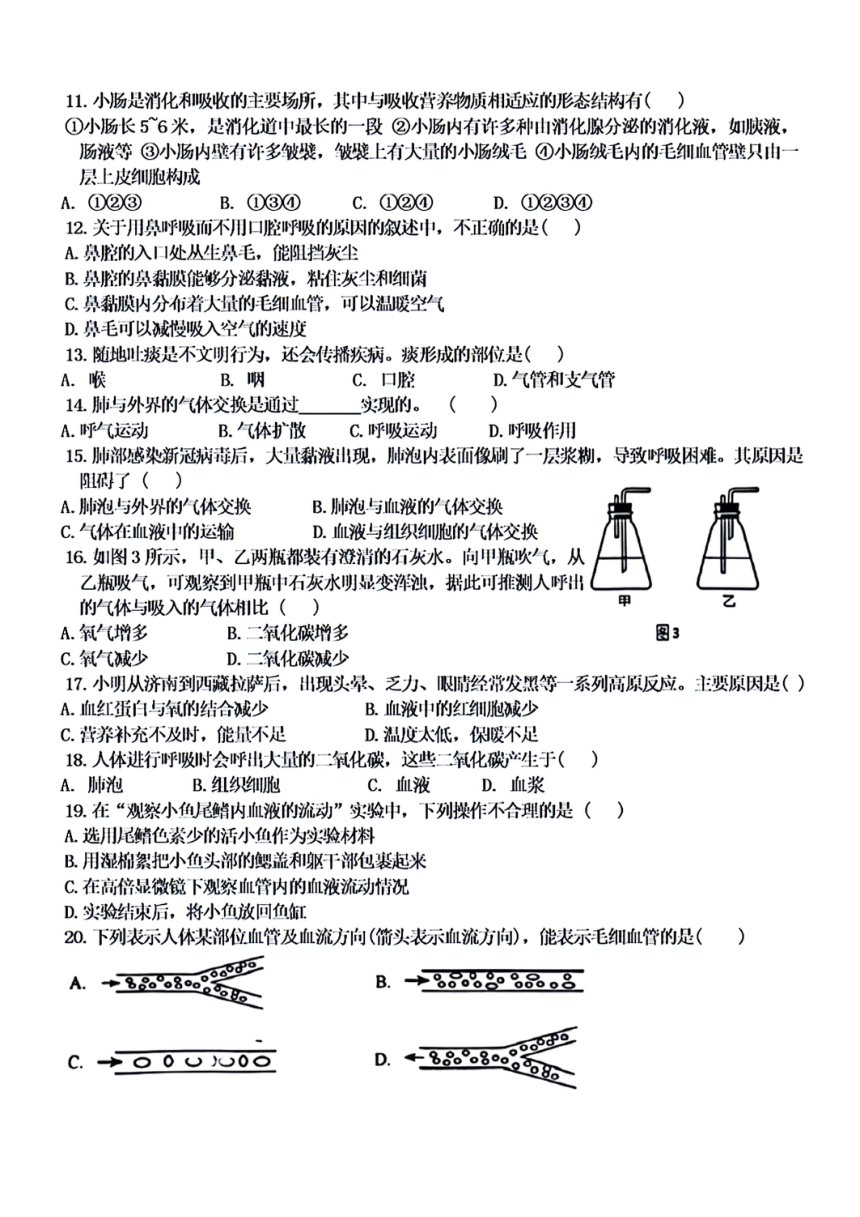 江西省赣州经开区2023-2024学年下学期七年级生物期中测试卷（PDF版含答案）