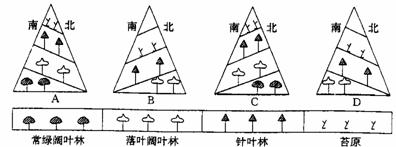 下列四幅山地垂直带谱图中，位于北半球亚热带的是答案：A