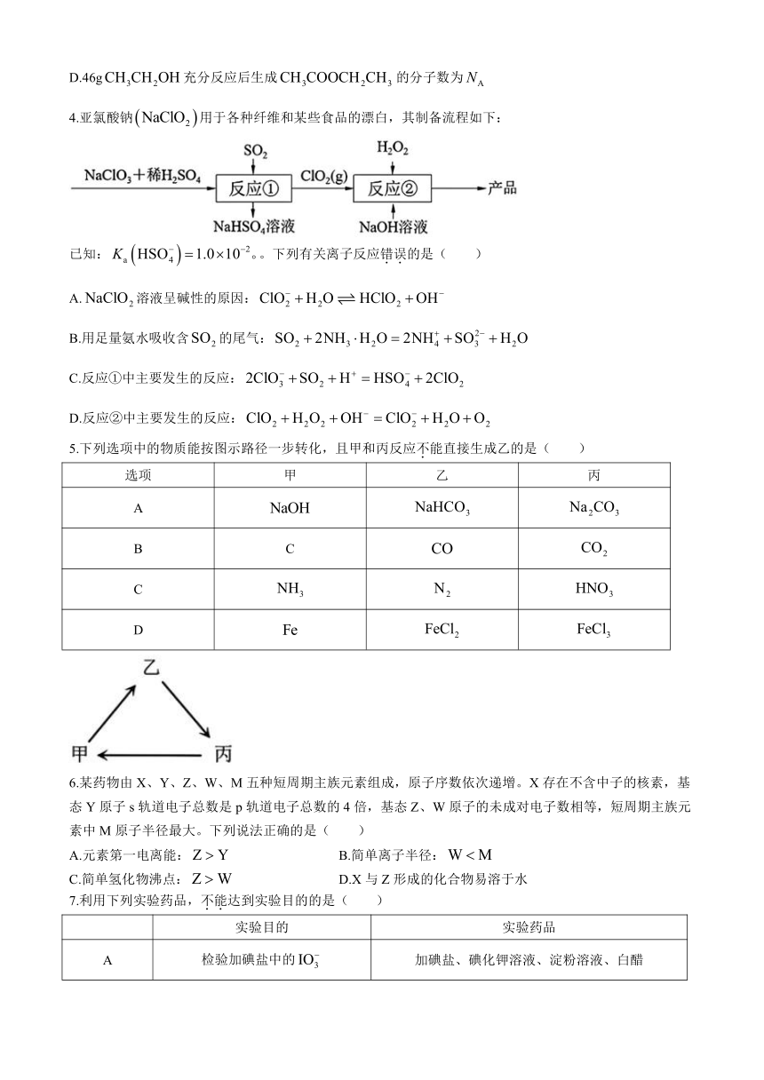 福建省泉州市2024-2025学年高三上学期8月开学考试 化学试题（含答案）