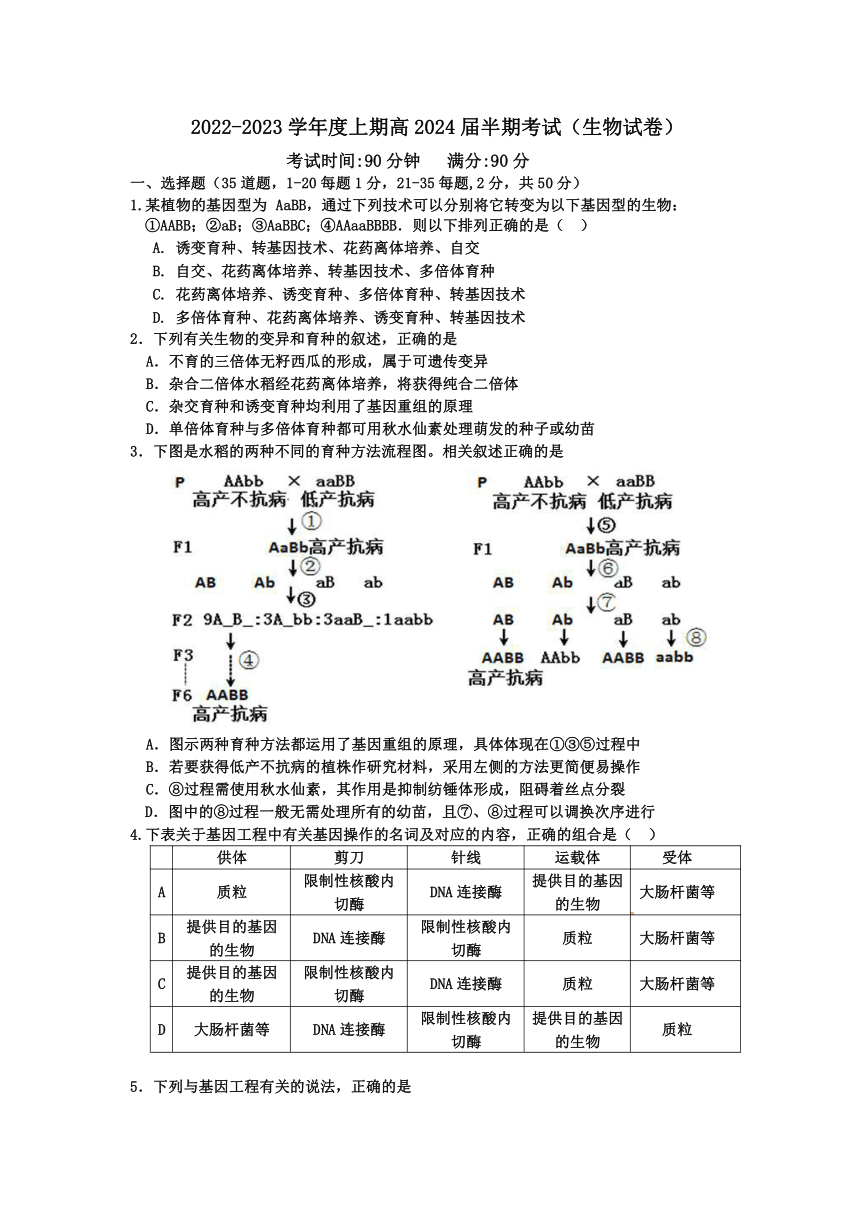 四川省内江市第一中学2022-2023学年高二上学期期中考试生物试题（无答案）