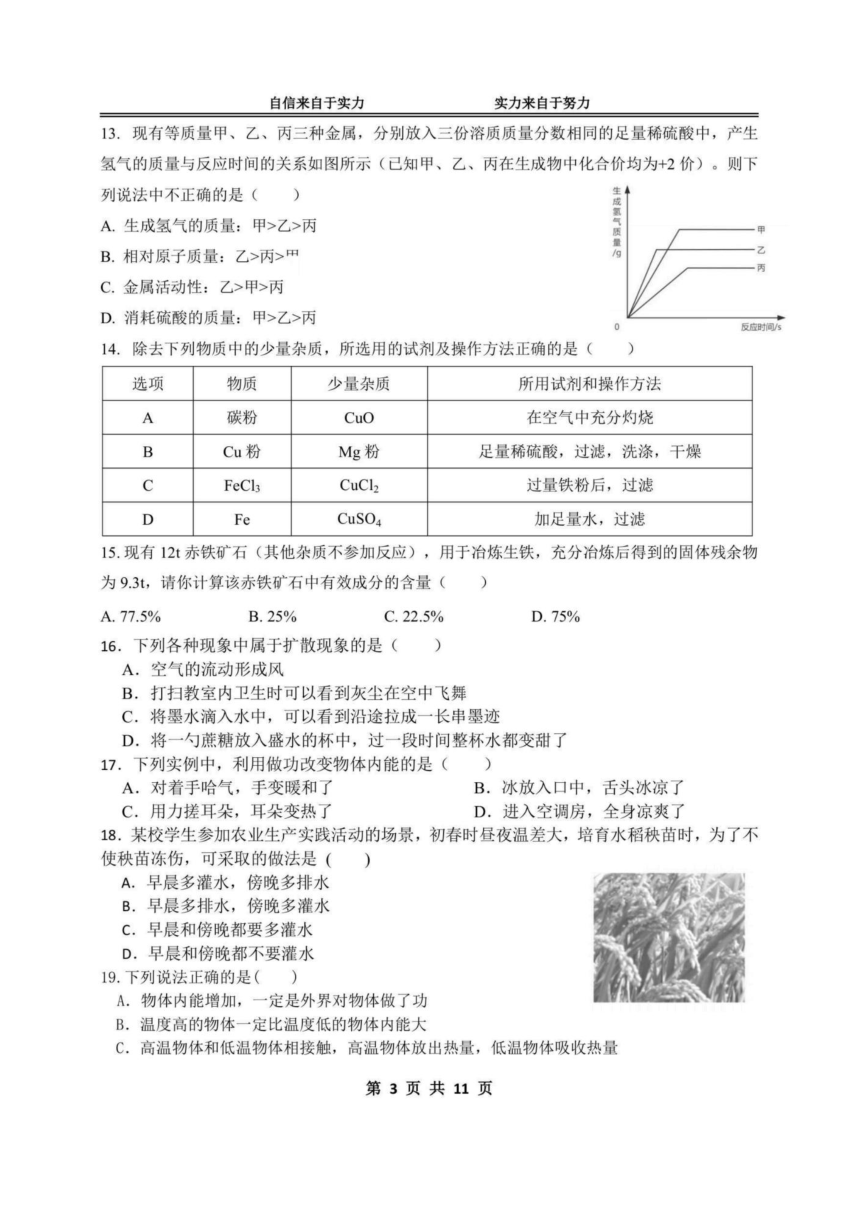 黑龙江省哈尔滨市2024-2025萧红中学九年级（上）暑假作业验收综合试卷（图片版，无答案）