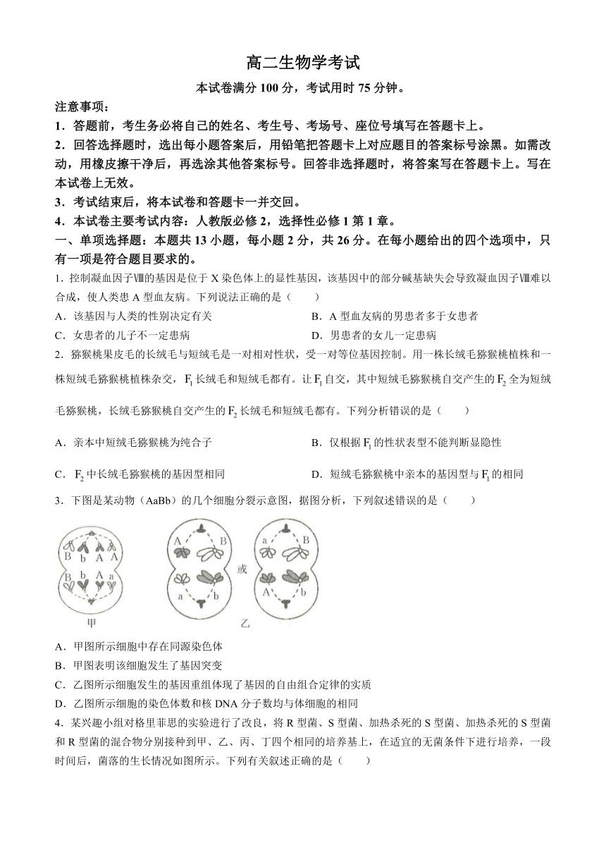 河北省保定市部分高中2024-2025学年高二上学期开学考试 生物试题（含答案）