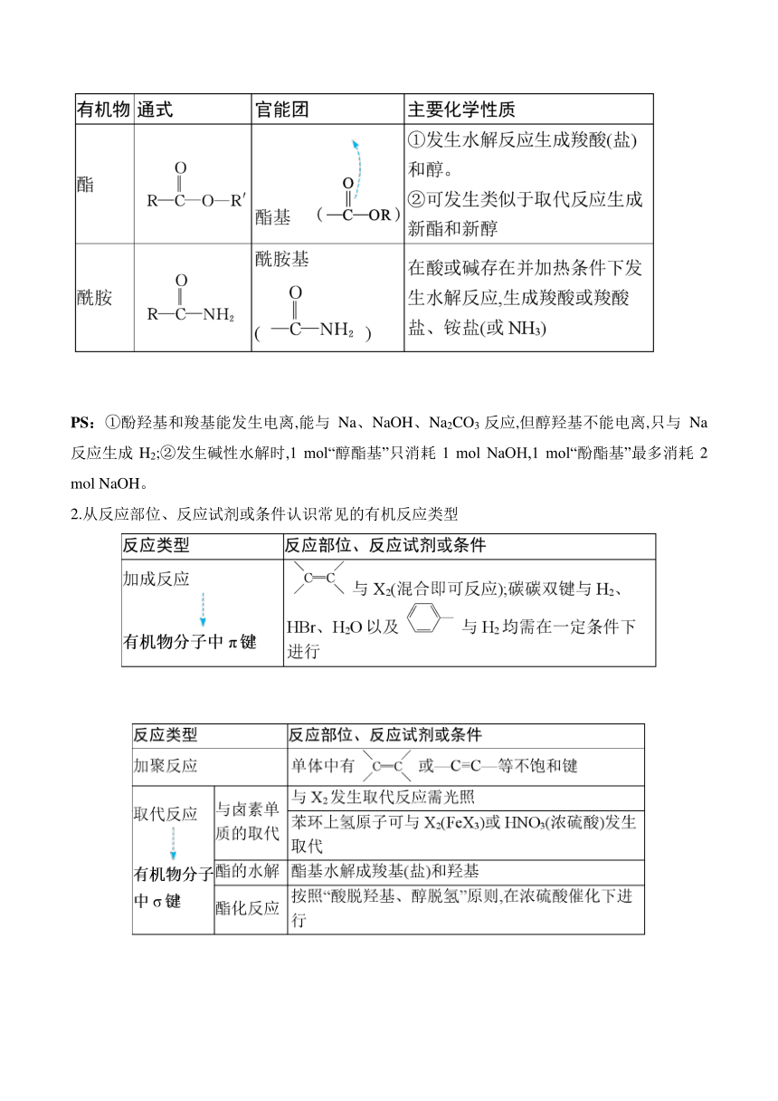 （12）有机化学基础——2025届高考化学二轮复习易错重难提升【新高考】（含解析）