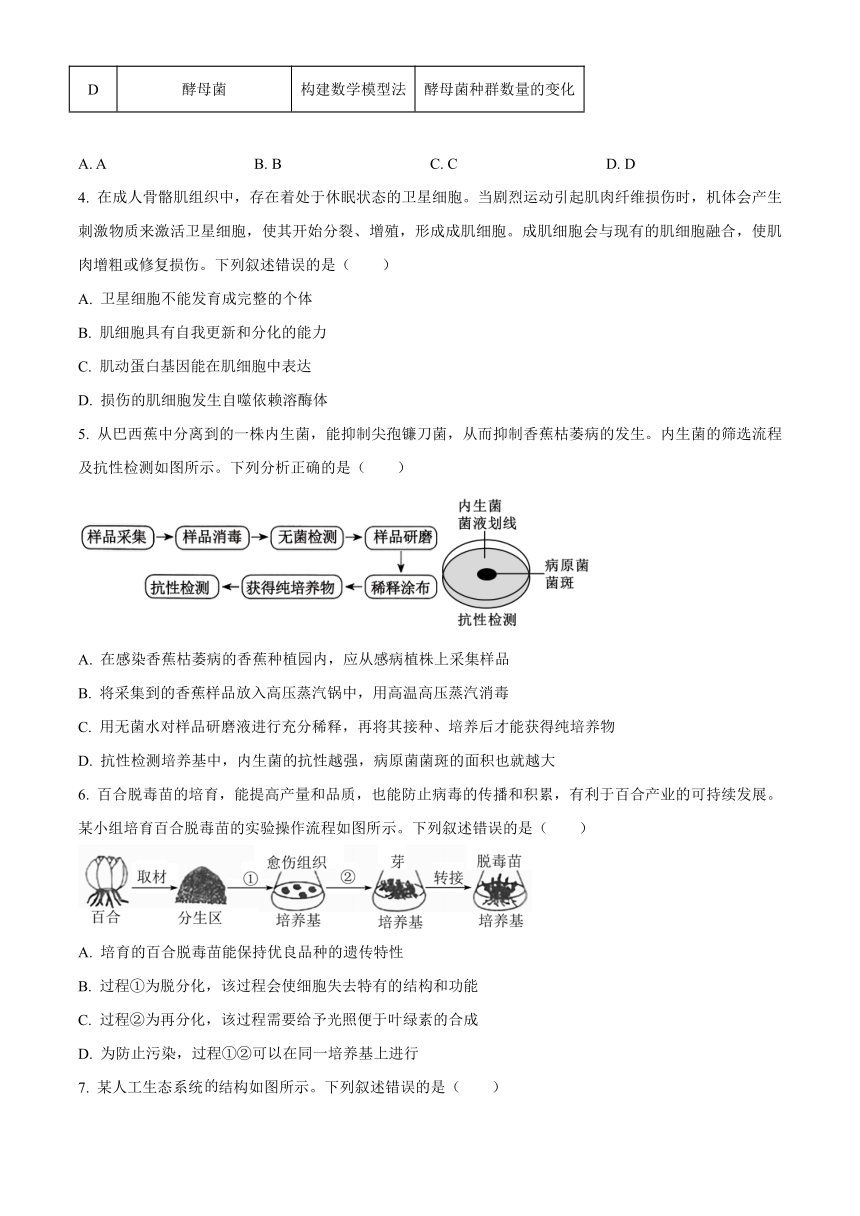 广西部分示范性高中2024-2025学年高三上学期开学摸底考试 生物 （含答案）