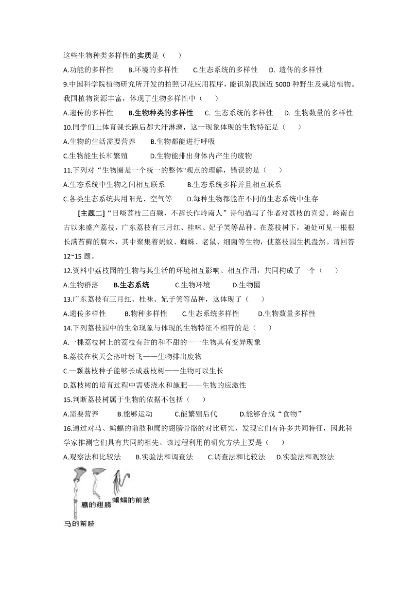 湖北省恩施土家族苗族自治州恩施市新塘中学2024-2025学年七年级上学期生物9月考试题卷（含答案）