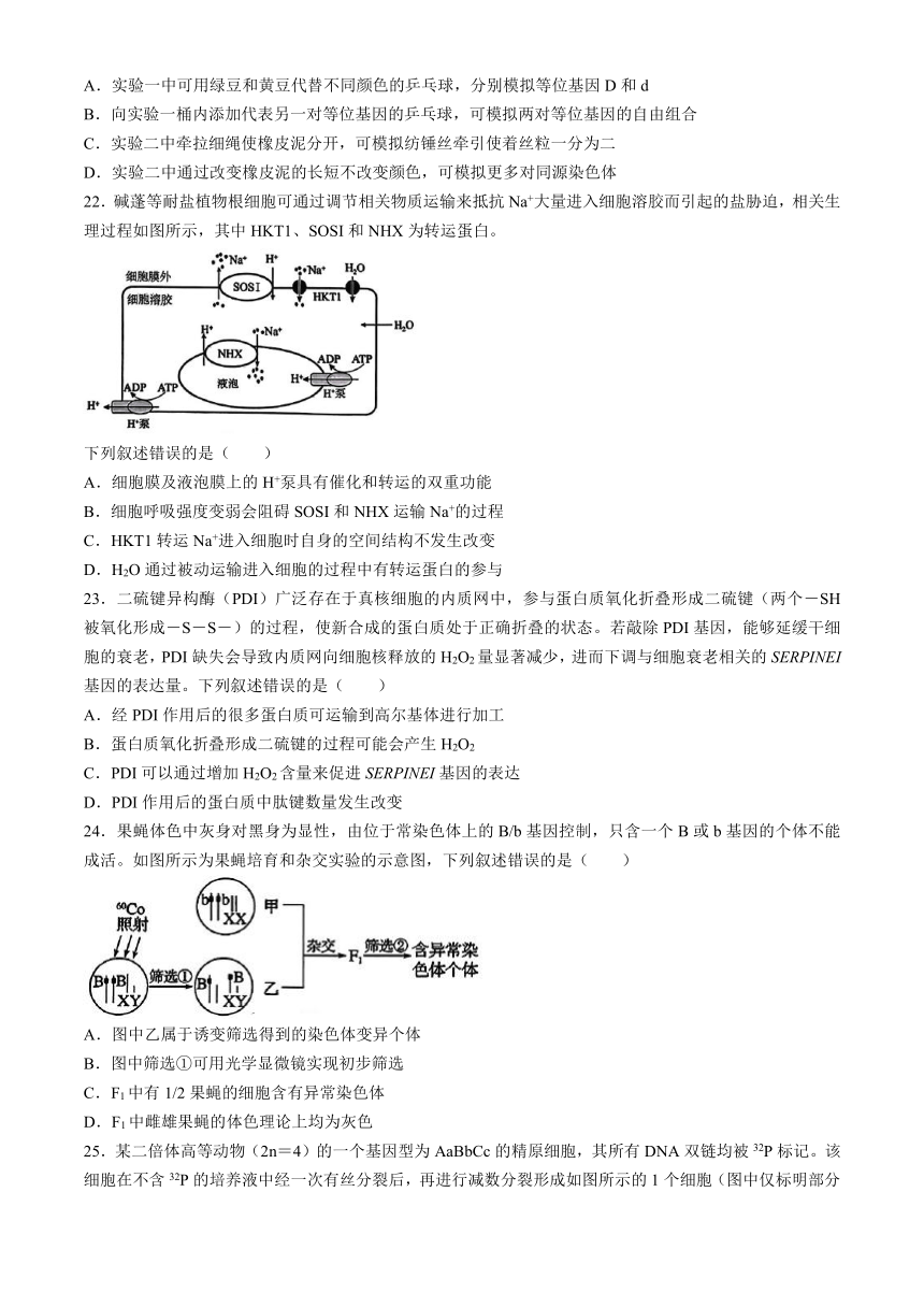 浙江省浙南名校联盟2024-2025学年高二上学期8月返校联考试题 生物（含答案）