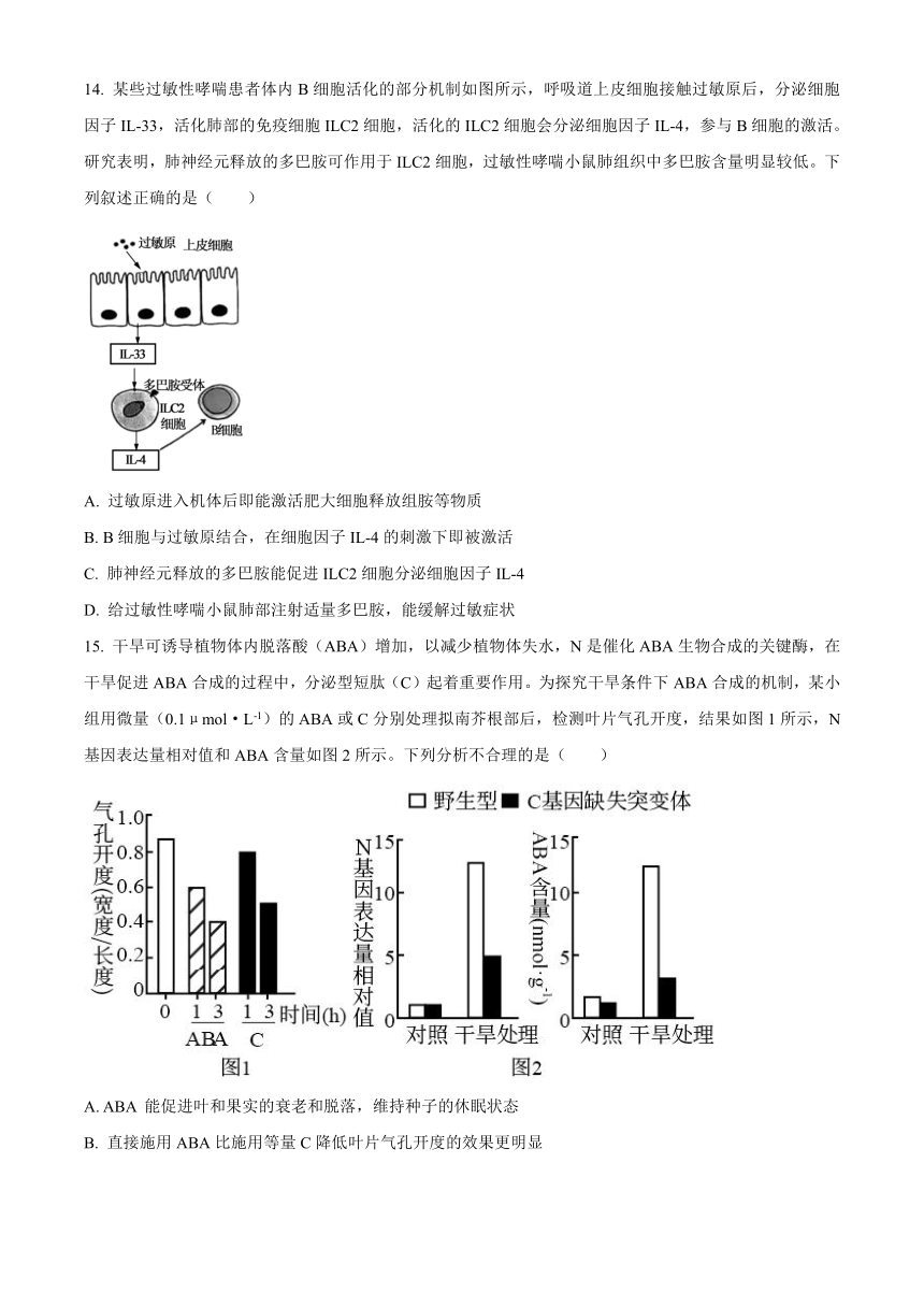 广西部分示范性高中2024-2025学年高三上学期开学摸底考试 生物 （含答案）