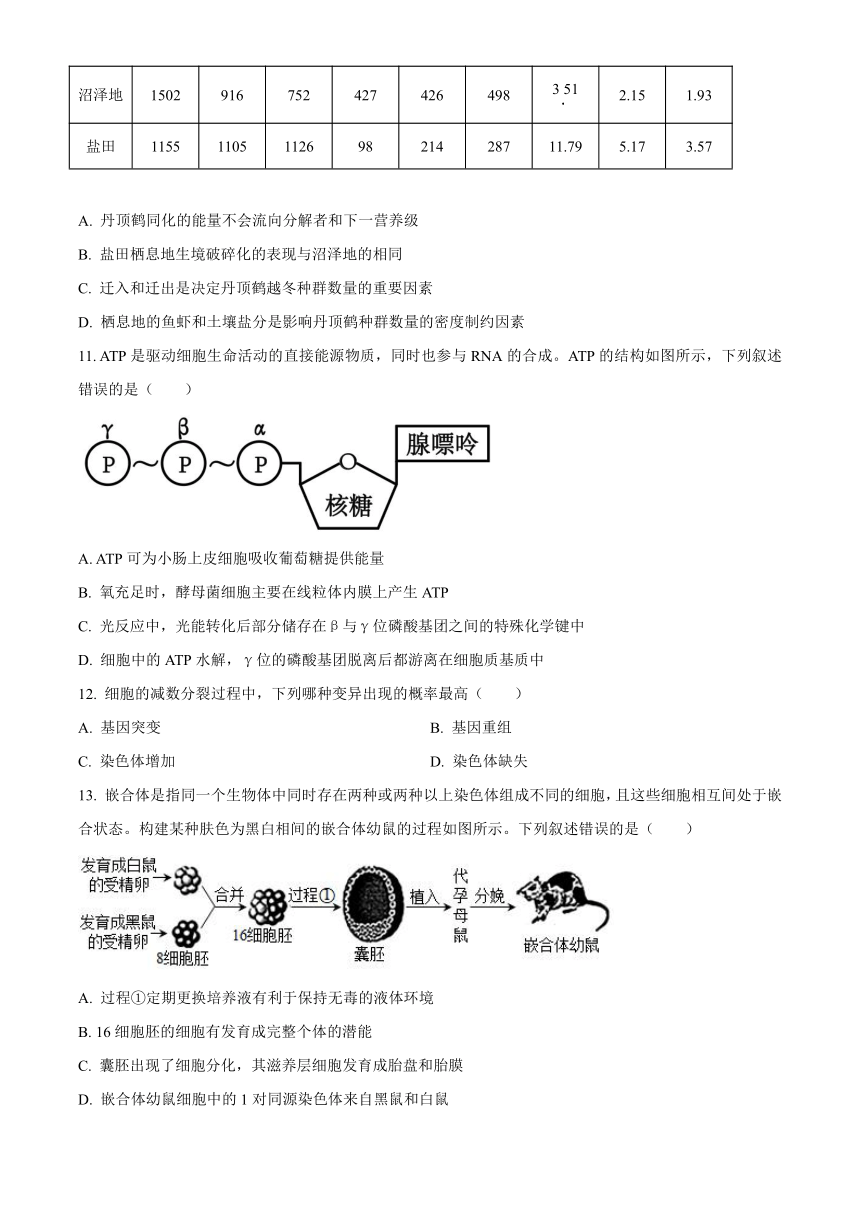 广西部分示范性高中2024-2025学年高三上学期开学摸底考试 生物 （含答案）