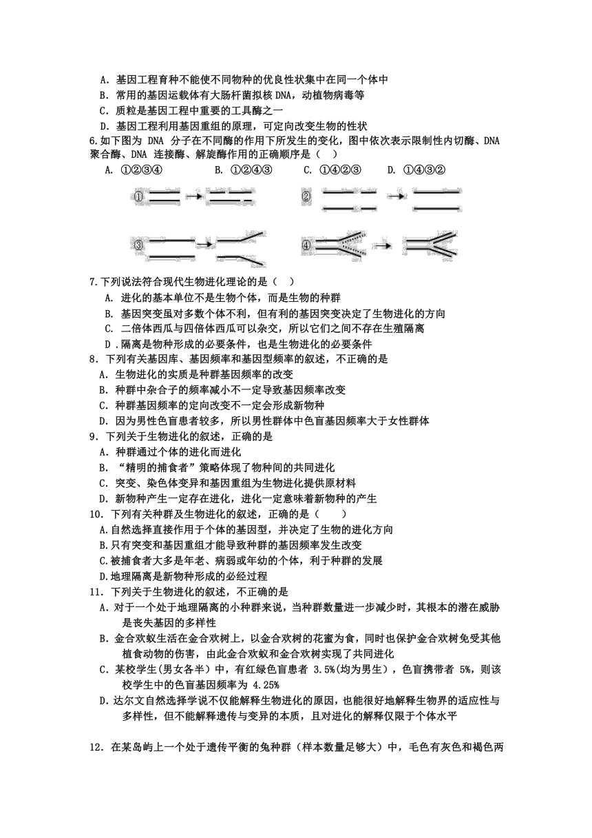 四川省内江市第一中学2022-2023学年高二上学期期中考试生物试题（无答案）