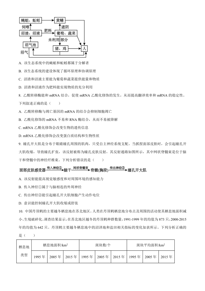 广西部分示范性高中2024-2025学年高三上学期开学摸底考试 生物 （含答案）