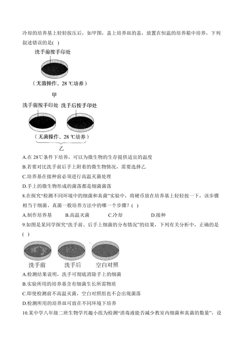 5.4.1细菌和真菌的分布 生物人教版八年级上册随堂小练（含解析）