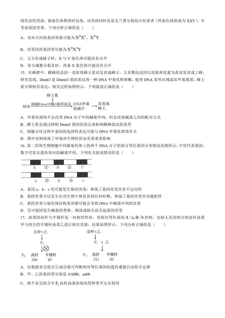 河北省保定市部分高中2024-2025学年高二上学期开学考试 生物试题（含答案）