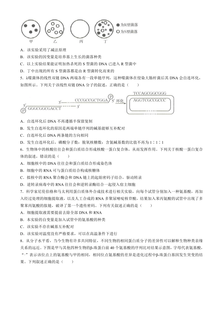 河北省保定市部分高中2024-2025学年高二上学期开学考试 生物试题（含答案）