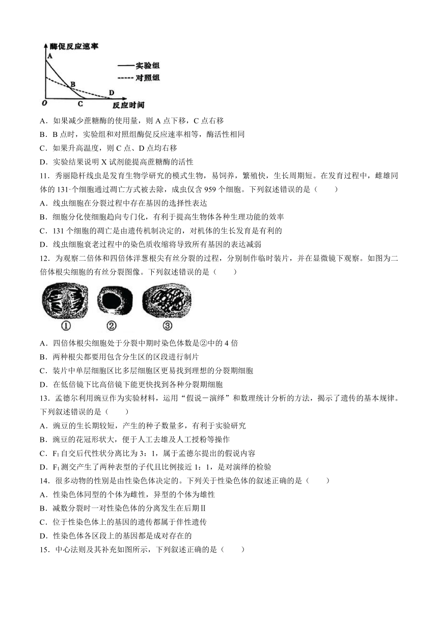 浙江省浙南名校联盟2024-2025学年高二上学期8月返校联考试题 生物（含答案）