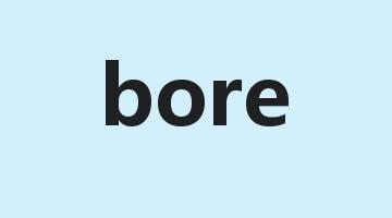 bore是什么意思_bore怎么读_bore的用法_翻译_短语搭配_权威例句