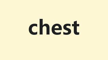 chest是什么意思_chest怎么读_chest的用法_翻译_短语搭配_权威例句