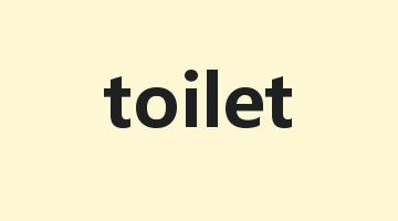 toilet是什么意思_toilet怎么读_toilet的用法_翻译_短语搭配_权威例句